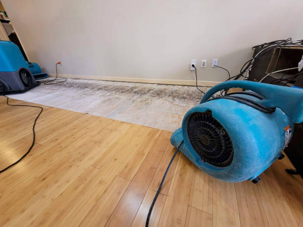 Professional Sewage Cleanup technician working in Urbana, IL